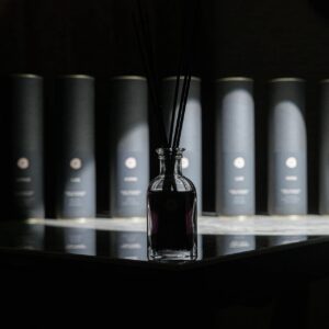 Namų kvapas su lazdelėmis "Voyage" 100ml.